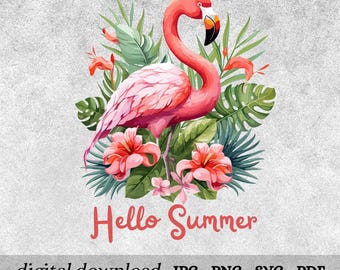 Flamenco de verano PNG, Verano vintage PNG, Verano divertido PNG, Verano femenino PNG, Flamenco PNG, Verano rosa PNG, Descarga digital por sublimación