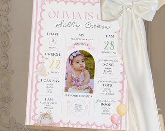 Pink One Silly Goose Milestone Board Template, Silly Goose 1st Birthday Sign, Baby's First Year Poster, Girl Baby Stats Board