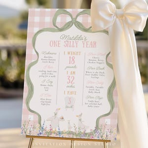 One Silly Goose Baby Milestone Board, Goose Birthday Party Baby's First Year Board, Pink Gingham Girl 1st Birthday Milestone Banner