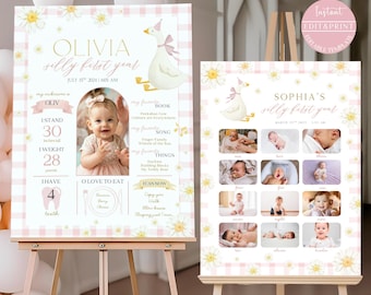 Tabellone per il primo anno di One Silly Goose, poster rosa per il primo anno di Silly Goose Baby, cartello con foto per il primo compleanno di una bambina