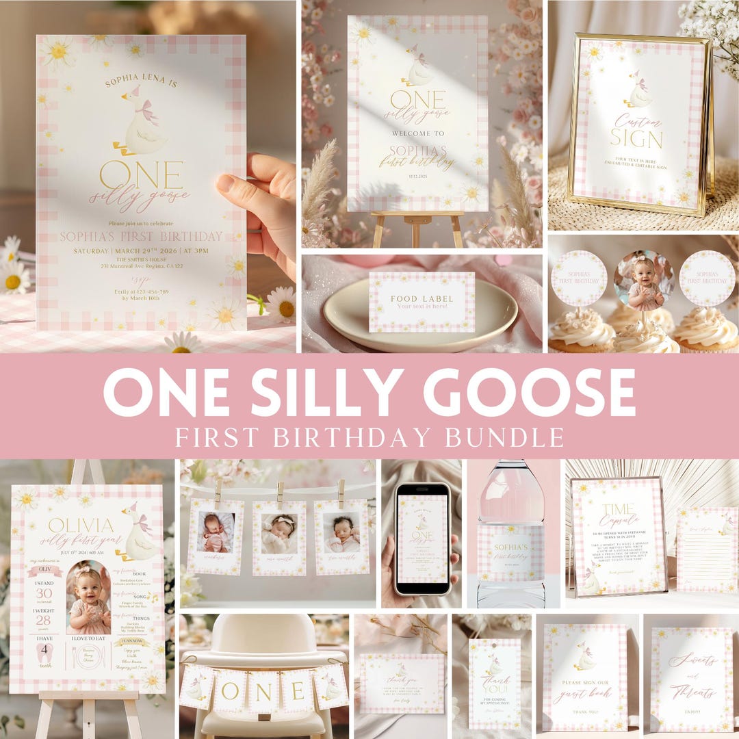 One Silly Goose 1st Birthday Bundle, Pink Gingham One Lucky Duck Girl ...