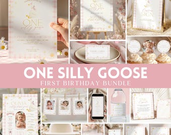 One Silly Goose 1st Birthday Bundle, Pink Gingham One Lucky Duck Girl Birthday Package, Daisy Goose First Birthday Party Decorations