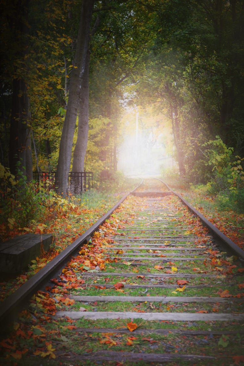 Railroad Tracks Photography Print, Farmhouse Decor, Train Art, Rustic ...
