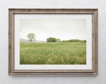 Farm Photography Print, Farmhouse Decor, Rustic Home Decor, Country Art, Farm Field, Tree Photos, Rural Art, Pennsylvania Spring Landscape