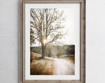 Country Road Photography Print, Farmhouse Decor, Rustic Home Decor, Dirt Road, Old Tree, Farm Field, Rural Pennsylvania Summer Landscape