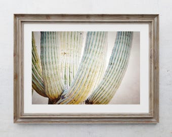 Saguaro Cactus Branches Photography Print, Farmhouse Decor, Rustic Home Decor, Southwest Art, Desert Cacti Photos,  Arizona Summer Landscape