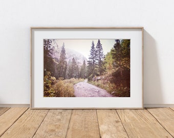 Mountain Photography Print, Rustic Farmhouse Decor, Log Cabin Decor, Forest Path, Home Decor, Wall Art, Telluride Colorado, Autumn Landscape