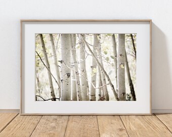 Aspen Trees Photography Print, Rustic Farmhouse Decor, Forest Print, Tree Photography, Fall Foliage, Woodland Art, Colorado Autumn Landscape