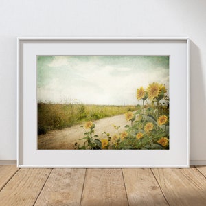 Puede incluir: Una fotograf&iacute;a de estilo vintage de un camino de tierra que conduce a trav&eacute;s de un campo con una hilera de girasoles en primer plano. El cielo es de un azul claro con nubes blancas. La imagen tiene un aspecto descolorido y texturizado.