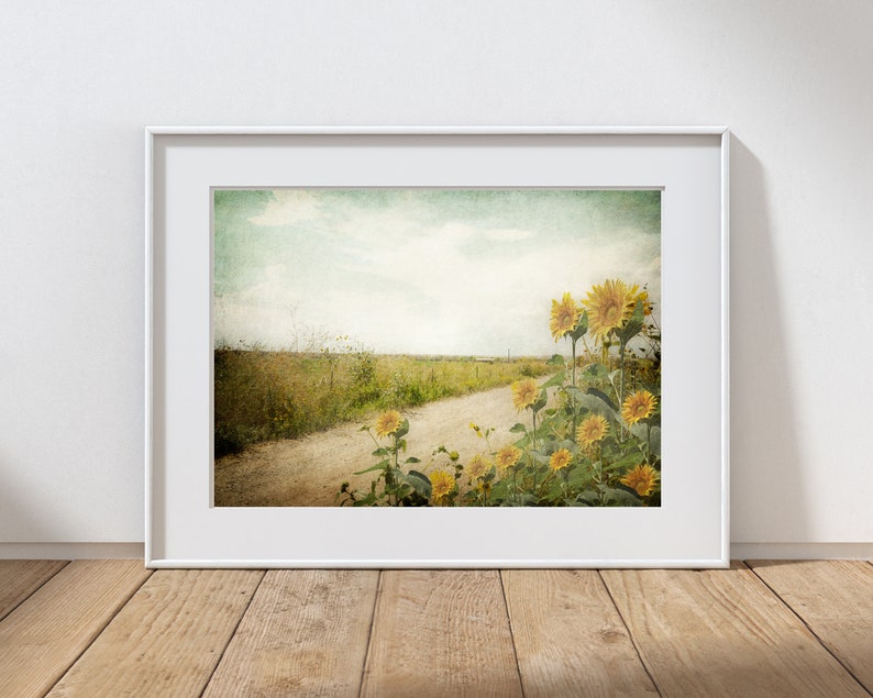 Puede incluir: Una fotograf&iacute;a de estilo vintage de un camino de tierra que conduce a trav&eacute;s de un campo con una hilera de girasoles en primer plano. El cielo es de un azul claro con nubes blancas. La imagen tiene un aspecto descolorido y texturizado.