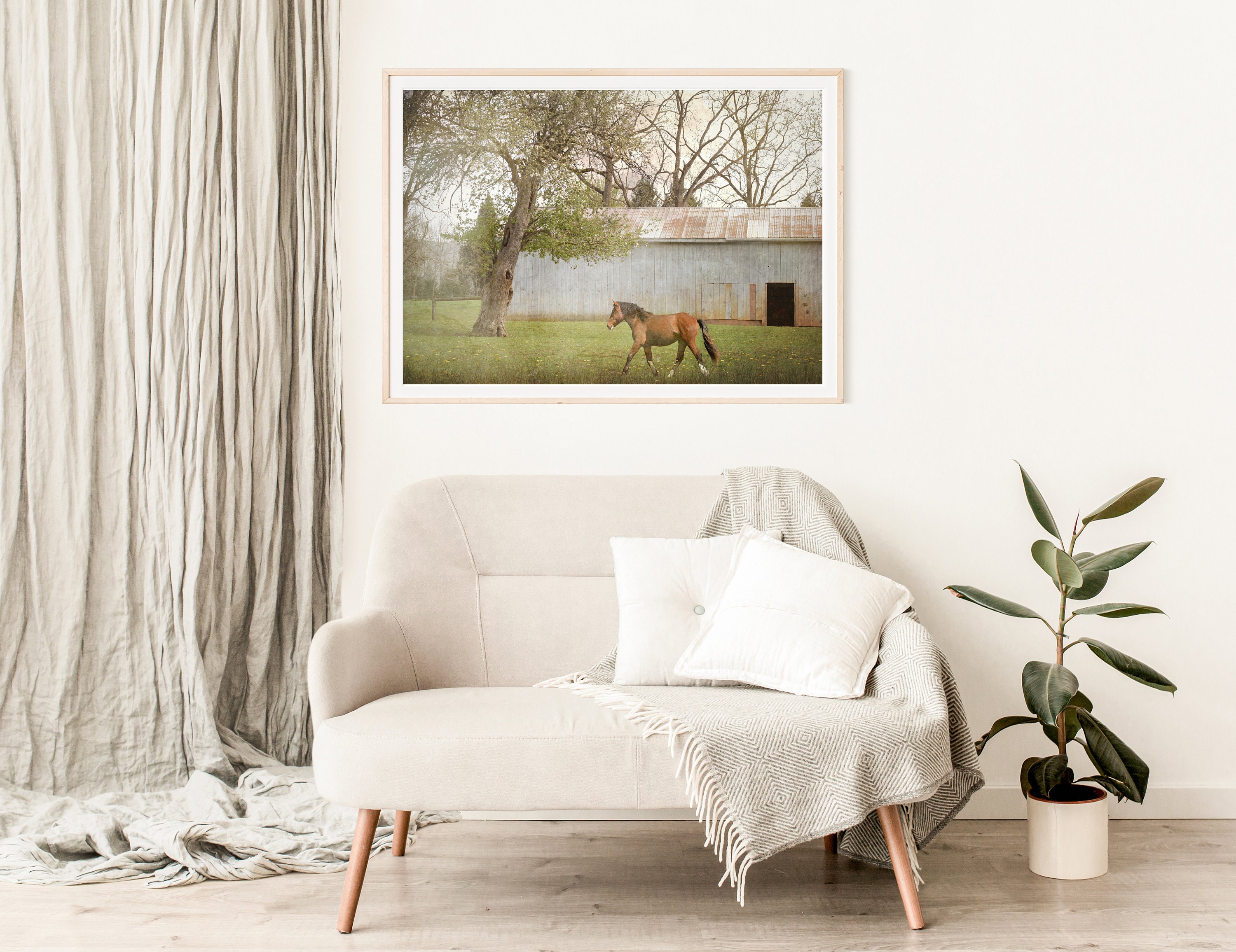 Horse Farm Photography Print, Rustic Farmhouse Decor, Old Barn Tree ...
