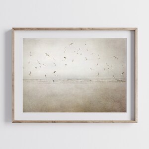 Ocean Photography Print, Rustic Home Decor, Seagulls Art, Birds Art, Cannon Beach Storm, Beach House Art, Oregon Coast, Spring Landscape zdjęcie 3