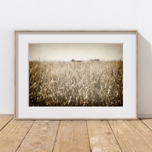 Cornfield Photography Print, Rustic Barn, Sepia Art, Old Barn, Farmhouse Decor, Rustic Field, Wall Art, Southwest Farm Landscape