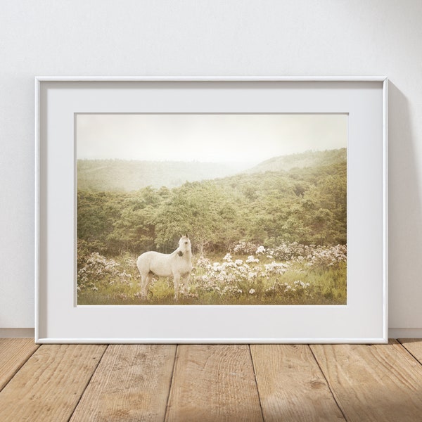 Horse Photography Print, Rustic Farmhouse Decor, Nursery Print, Girls Room Art, Spring Meadow, Mountain Wildflowers, Pennsylvania Landscape