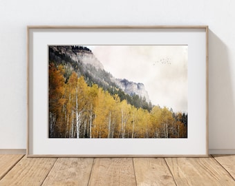 Aspen Trees Photography Print, Rustic Farmhouse Decor, Home Decor, Lodge Art, Mountain Art, Forest Art, Telluride Colorado, Autumn Landscape