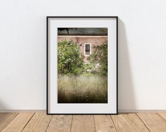 Farmhouse Photography Print, Rustic Home Decor, Country Cottage, Crow Art, Birds, Old Window, Whimsical House, Pennsylvania Summer Landscape