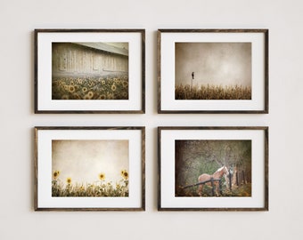 Sunflower Farm Photography Prints Set, Set of 4 Prints, Rustic Farmhouse Decor, Barn Cornfield, Home Decor, Pennsylvania Autumn Landscape