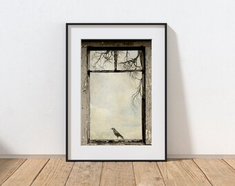 Farmhouse Raven Photography Print, Country Crow, Rustic Home Decor, Whimsical Art, Black Bird, Old Window, Pennsylvania Winter Landscape
