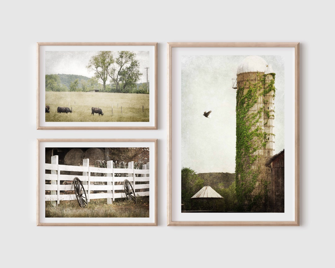 Farm Photography Prints, Set of 3, Rustic Farmhouse Decor, Home Decor ...