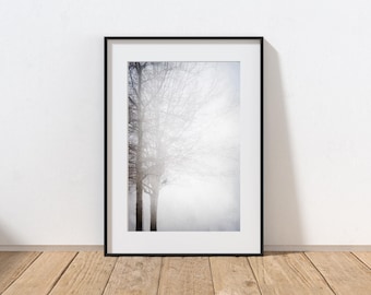 Tree Photography Print, Farmhouse Decor, Rustic Home Decor, Minimalist Trees, Forest Fog, Woodland Art, Pennsylvania Winter Landscape