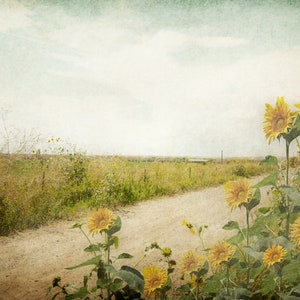 Puede incluir: Un camino de tierra serpentea a trav&eacute;s de un campo de flores silvestres y hierba alta, que conduce a un horizonte lejano. Los girasoles florecen en primer plano, sus p&eacute;talos amarillos mirando hacia el sol.