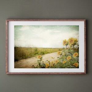 Puede incluir: Una fotograf&iacute;a enmarcada de un camino de tierra que conduce a trav&eacute;s de un campo de girasoles. Los girasoles est&aacute;n en flor y el camino est&aacute; bordeado de hierba verde. El cielo es de un azul claro con algunas nubes. La foto tiene un aspecto vintage y descolorido.