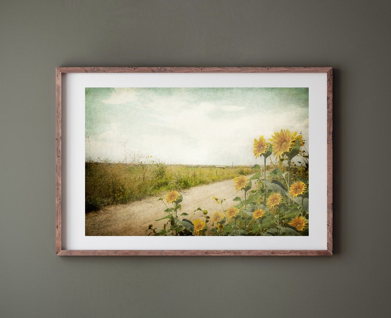 Puede incluir: Una fotograf&iacute;a enmarcada de un camino de tierra que conduce a trav&eacute;s de un campo de girasoles. Los girasoles est&aacute;n en flor y el camino est&aacute; bordeado de hierba verde. El cielo es de un azul claro con algunas nubes. La foto tiene un aspecto vintage y descolorido.