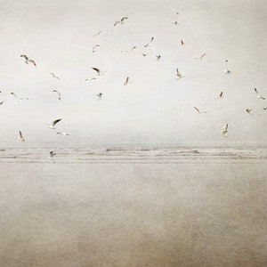 Ocean Photography Print, Rustic Home Decor, Seagulls Art, Birds Art, Cannon Beach Storm, Beach House Art, Oregon Coast, Spring Landscape zdjęcie 4