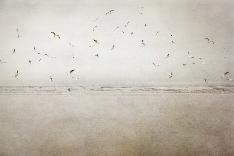 Ocean Photography Print, Rustic Home Decor, Seagulls Art, Birds Art, Cannon Beach Storm, Beach House Art, Oregon Coast, Spring Landscape zdjęcie 4