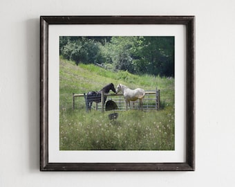 Horse Photography Print, Farmhouse Decor, Home Decor, Wildflower Field, Farm Animals, Country Horses Photos, Pennsylvania Spring Landscape