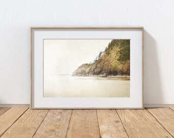 May include: A framed photograph of a rocky coastline with a sandy beach and a forest of trees in the background. The image is in a muted, vintage color palette.