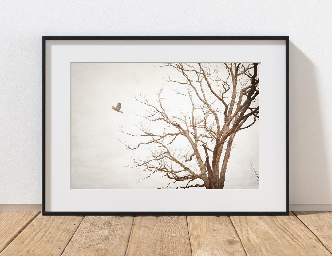 Tree Photography Print