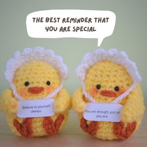 May include: Two yellow crocheted chicks with white bonnets and orange feet. One chick holds a sign that says "Believe in yourself always." The other chick holds a sign that says "You are enough, just as you are." The background is a light green.