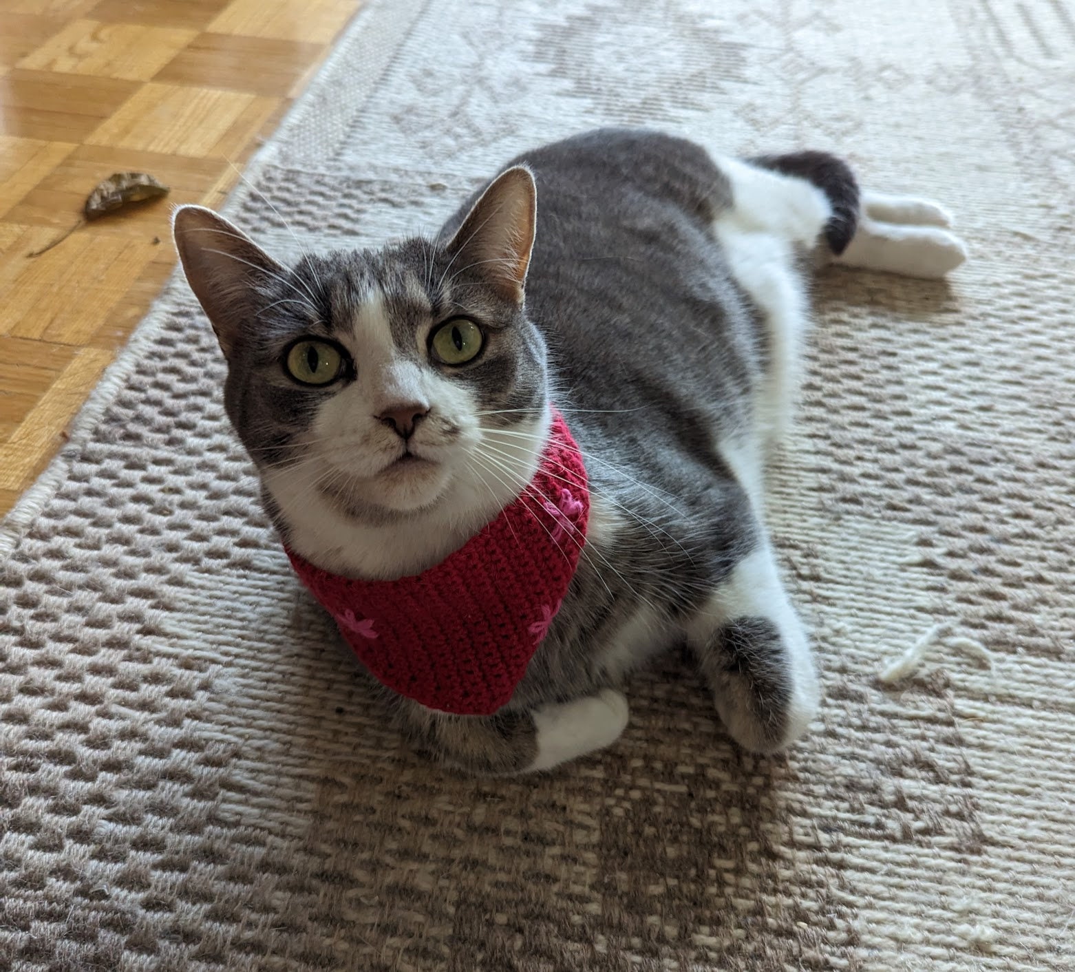 Cat Kerchief Crochet Pattern | Cat Bandana | Pet Accessory | Cat Collar ...