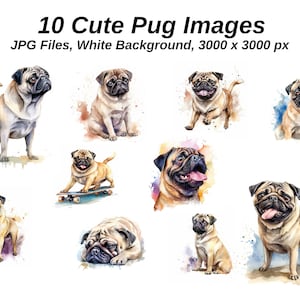 Mops Clipart. 10 hochwertige JPGs auf WEISSEM Hintergrund. Digitales Papier Digitaler Planer Aquarell. Digitaler Download
