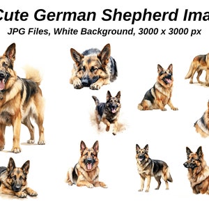 Deutscher Schäferhund Hund Clipart. 10 hochwertige JPGs auf weißem Hintergrund. GSD Digital Paper Digital Planner Aquarell. Digitaler Download