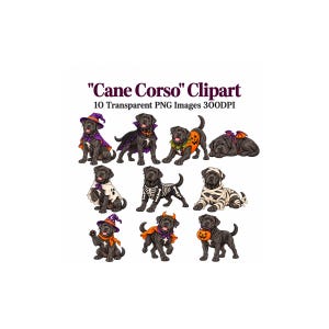 May include: A collection of 10 digital illustrations titled "Cane Corso" Clipart 10 Transparent PNG Images 300DPI. The images feature black Cane Corso dogs dressed in various Halloween costumes including a wizard, vampire, pumpkin, bat, ghost, skeleton, mummy, devil, and a dog holding a pumpkin bucket.