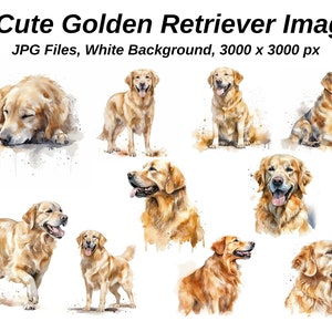 Golden Retriever Clipart. 10 hochwertige JPGs auf WEISSEM Hintergrund. Digitales Papier Digitaler Planer Aquarell. Digitaler Download