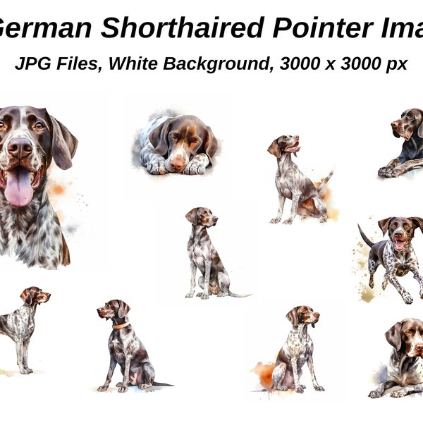 German Shorthaired Pointer Clipart. 10 High Quality JPGs on WHITE background. Digital Paper Digital Planner Watercolor. Digital Download