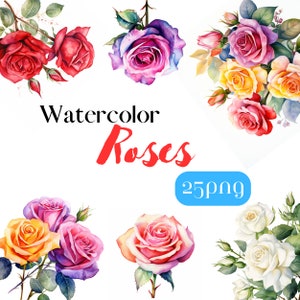 Roses PNG, Watercolor Flower Clipart, Natural Color Rose Illustrations, Instant Download, Digital Transparent PNG, Floral Clip Art