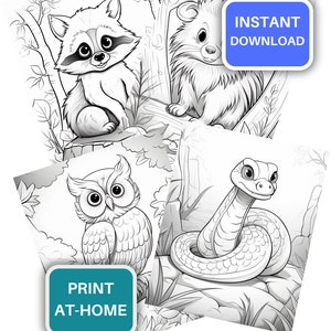 Printable Forest Animals Coloring Pages for Kids, Toddlers Coloring ...