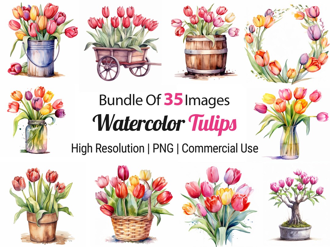 Watercolor Tulip Clipart Spring Floral Clipart, 35 Images, PNG Format ...