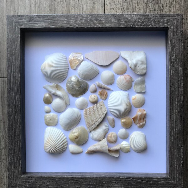 Seashell Shadow Box Etsy