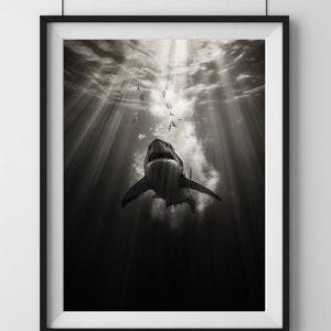 Shark wall art, stunning shark poster for Sale, perfect wall art for marine enthusiasts & shark lovers, shark poster and shark digital print