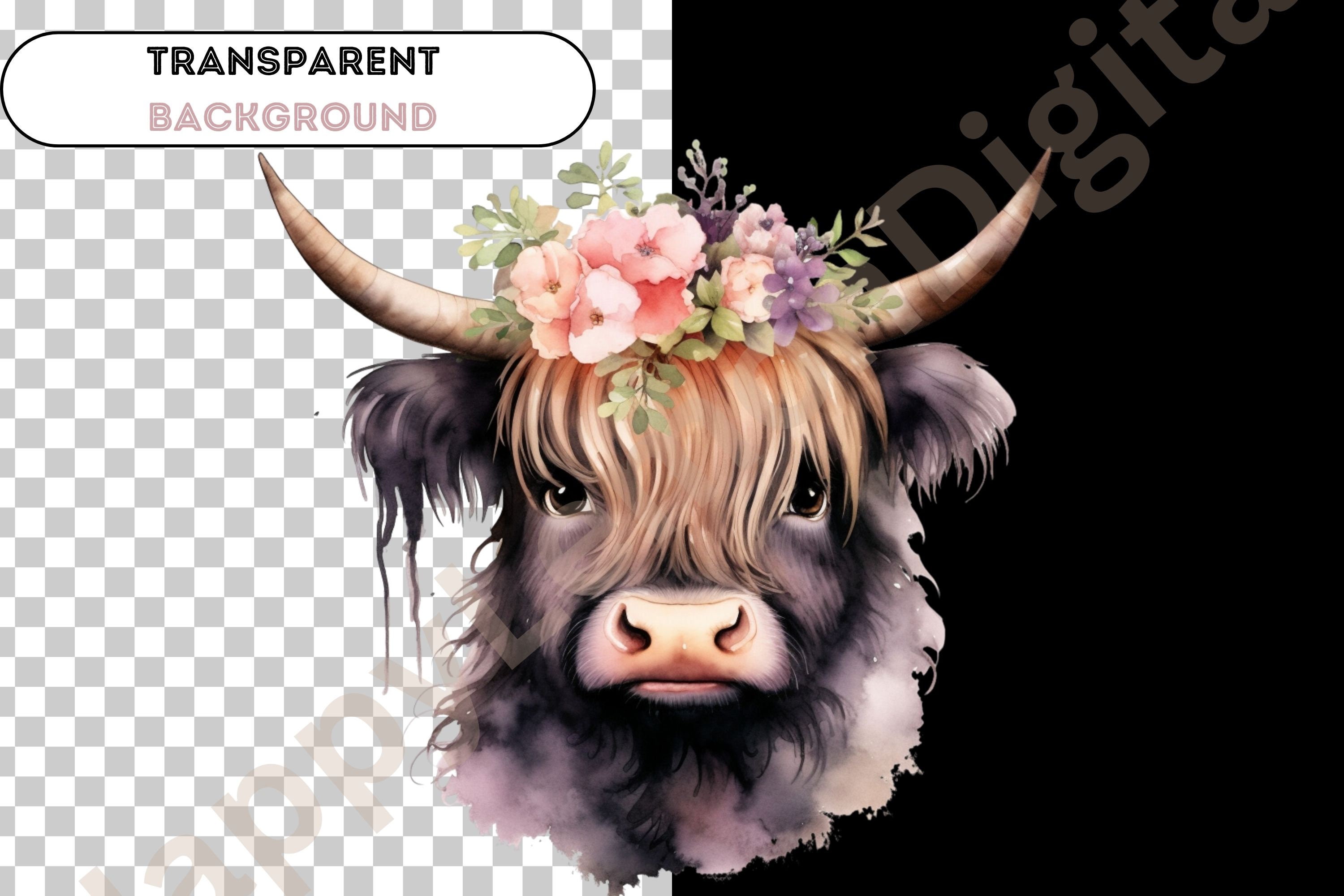 Cute Baby Highland Cow Watercolor PNG Clipart Bundle, Cow Wall Art ...