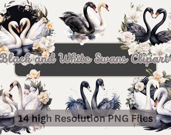 Watercolor Birds Clipart Bundle, Black and White Swans Clipart, Birds Bundle PNG Digital Art for Sublimation Instant Download Commercial Use