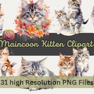 Watercolor Kitten Clipart Bundle, Cute Maincoon Cat Digital Art, Spring Floral Art For Sublimation, Commercial Use, Instant Download