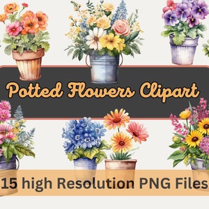 Watercolor House Plants Clipart Bundle Potted flowers Clip Art Outdoor Houseplants Floral Sticker PNG Commercial use Instant Download
