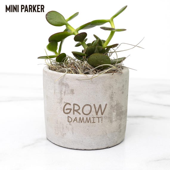 Grow Dammit! Succulent Gift Desk Plants - Coworker Gift Ideas, Housewarming Gift, Great Gift For Any Plant Lover! Hardy, Lovely, Funny Gift