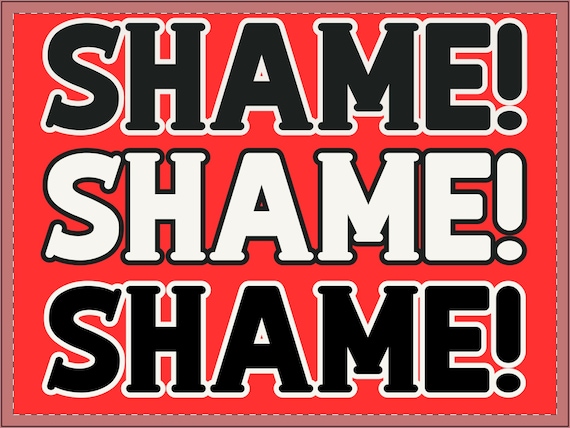Eye-Catching Dual-Sided "SHAME" Sign for Powerful Protests and Home Decor! Perfect for Protests, Yard Decor and More